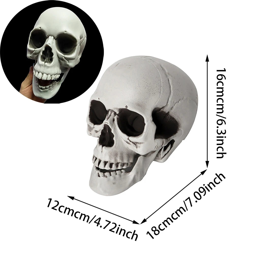 Midnight Relic Realistic Skull Decoration