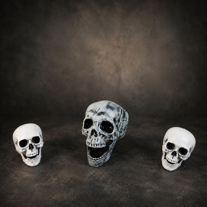 Midnight Relic Realistic Skull Decoration