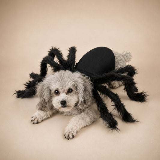 Shadow Crawler Spider Costume for Pets