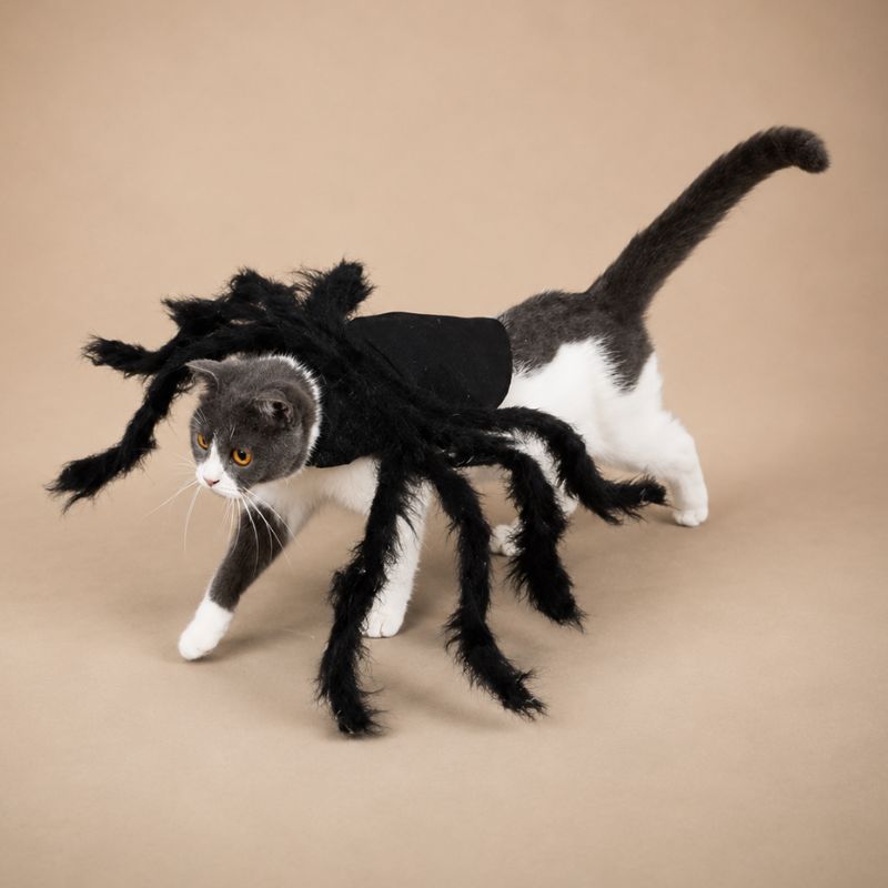 Shadow Crawler Spider Costume for Pets