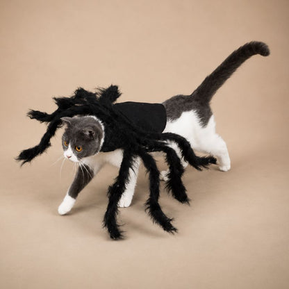 Shadow Crawler Spider Costume for Pets