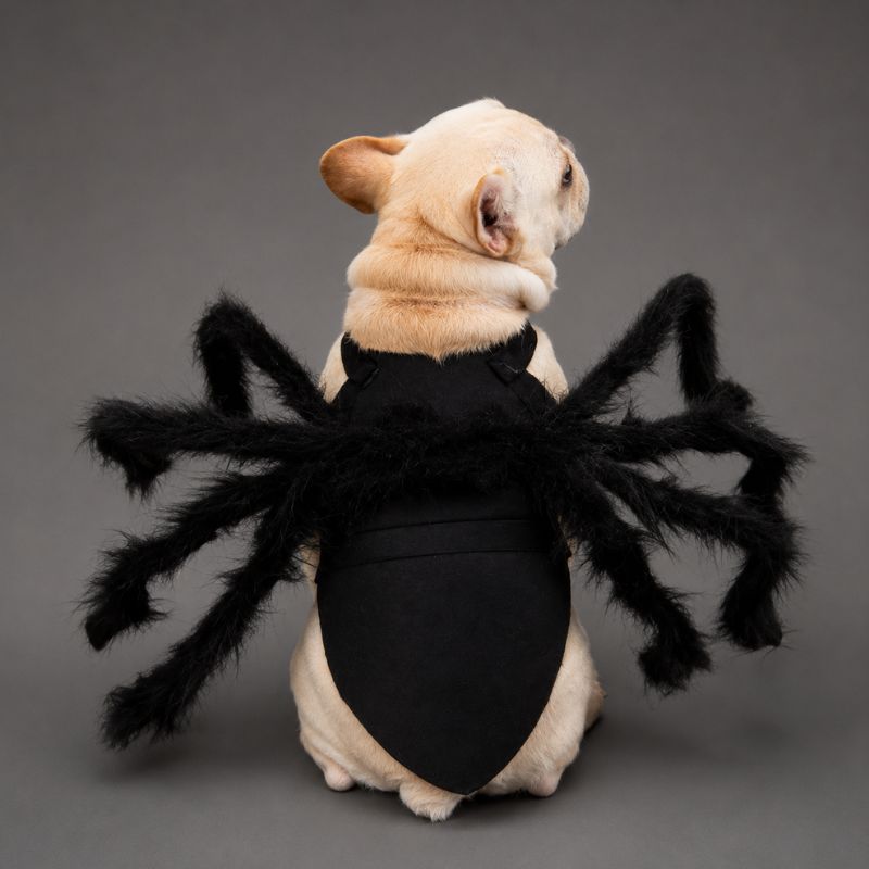 Shadow Crawler Spider Costume for Pets