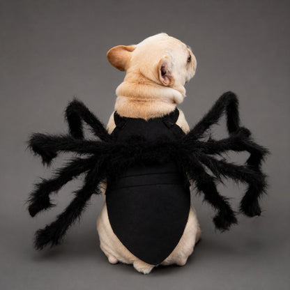 Shadow Crawler Spider Costume for Pets