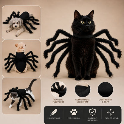 Shadow Crawler Spider Costume for Pets