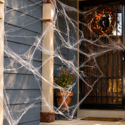 Midnight Web Artificial Spider Web Decoration